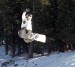 360x320_snowboard.jpg